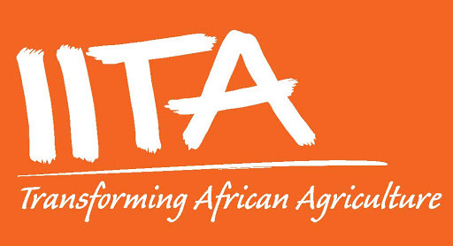 Call for Applications: IITA Youth in Agribusiness Training Program