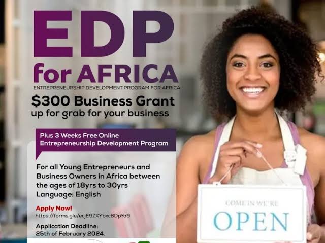 Voice1Africa & Sound Mind Buildup Entrepreneurship Development Program for Africa 2024(Up to $300 Business Grant plus 3 Weeks free Entrepreneurship Development Training)