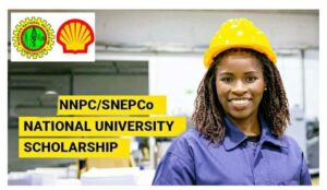 NNPC/SNEPCo National University Scholarship Programme 2023