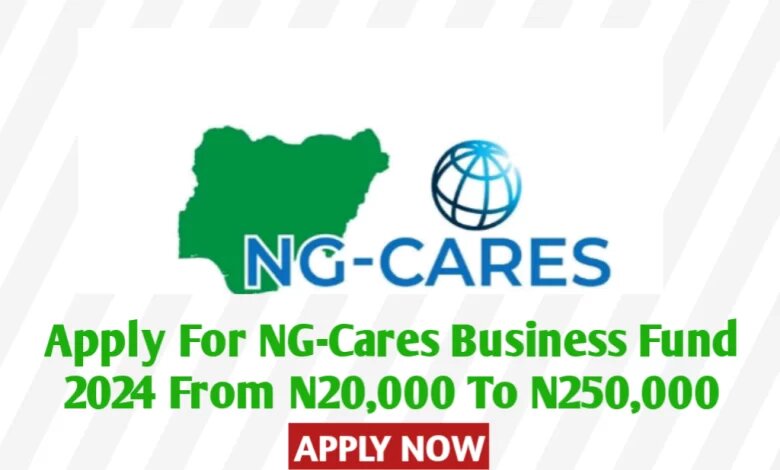Call for Applications: NG-Cares Business Fund 2024 | N50,000 to N250,000 to Entrepreneur