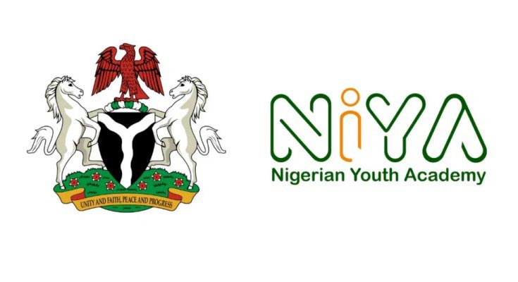 Nigerian Youth Academy Program (NiYA 2024)