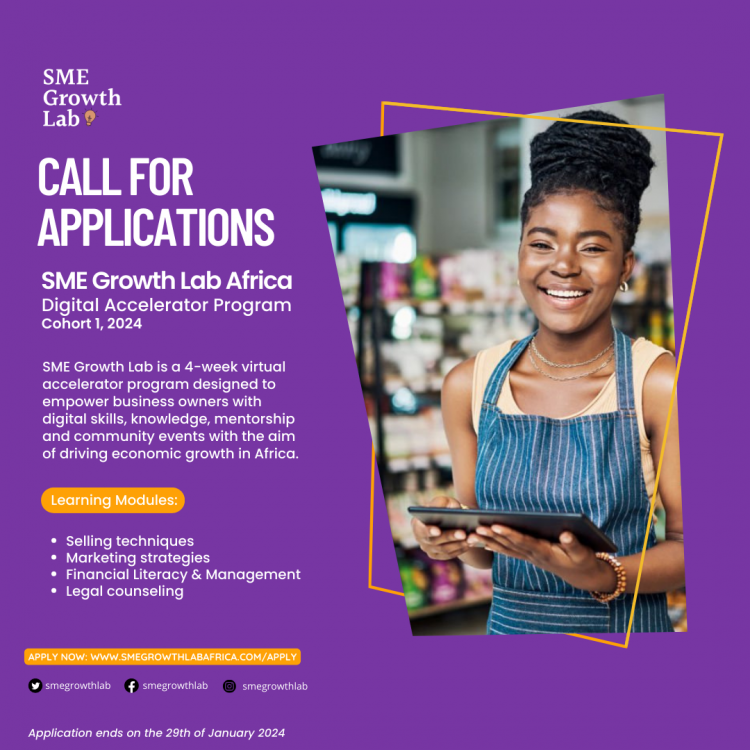 SME Growth Lab Africa 2024 Digital Accelerator Program For Business Owners