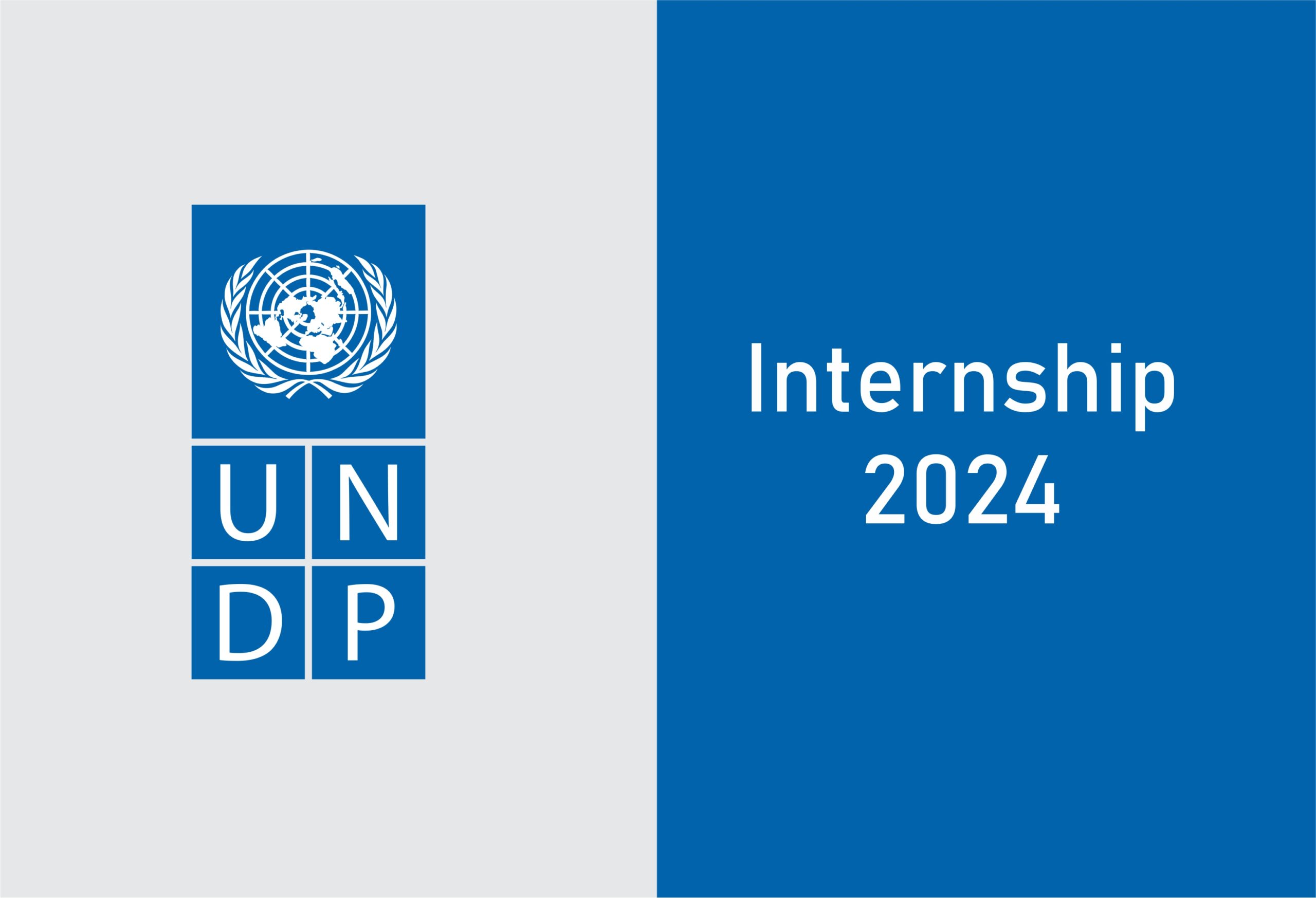 UNDP Internship 2024