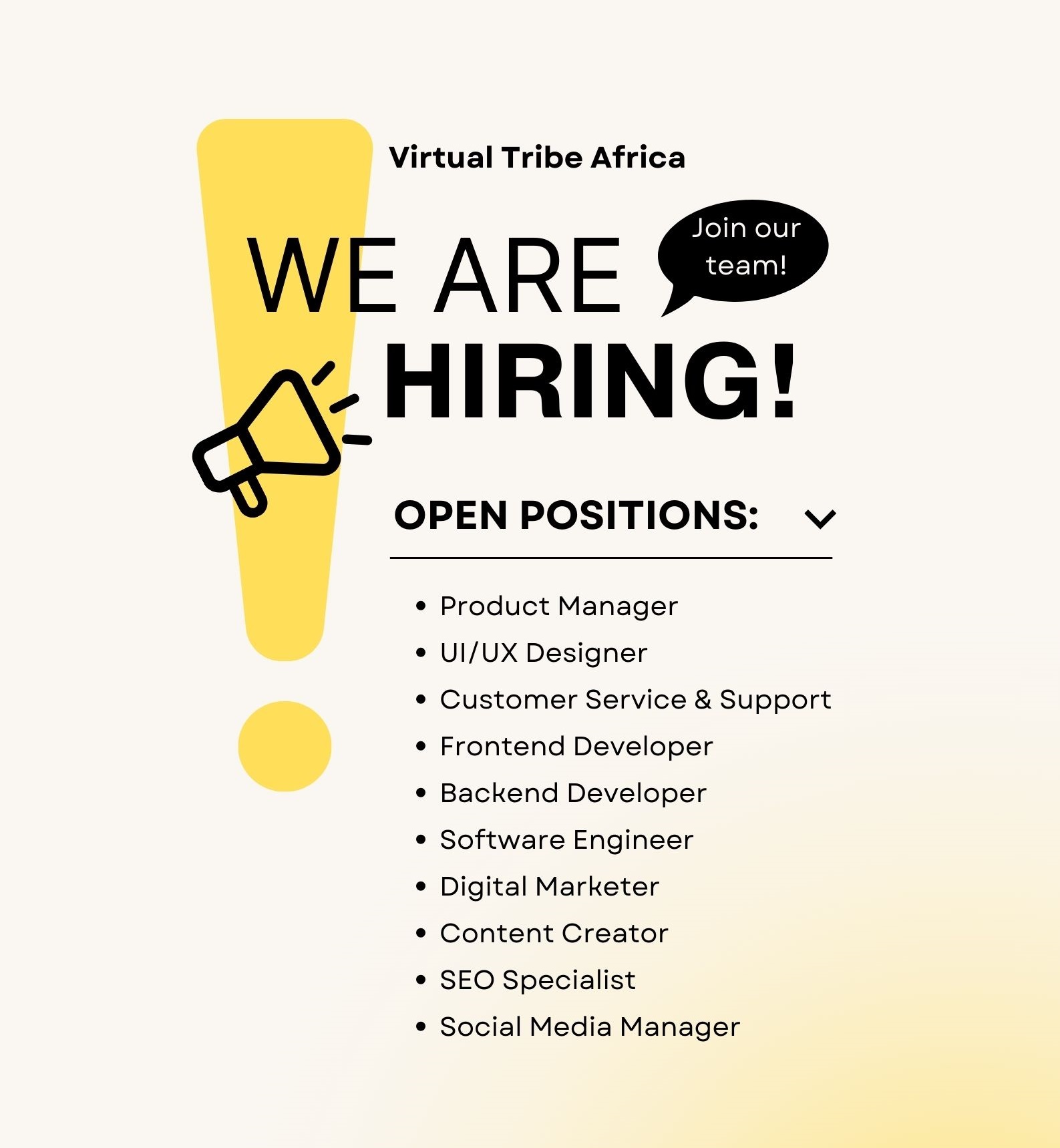 Backend Developers Needed at Virtual Tribe Africa
