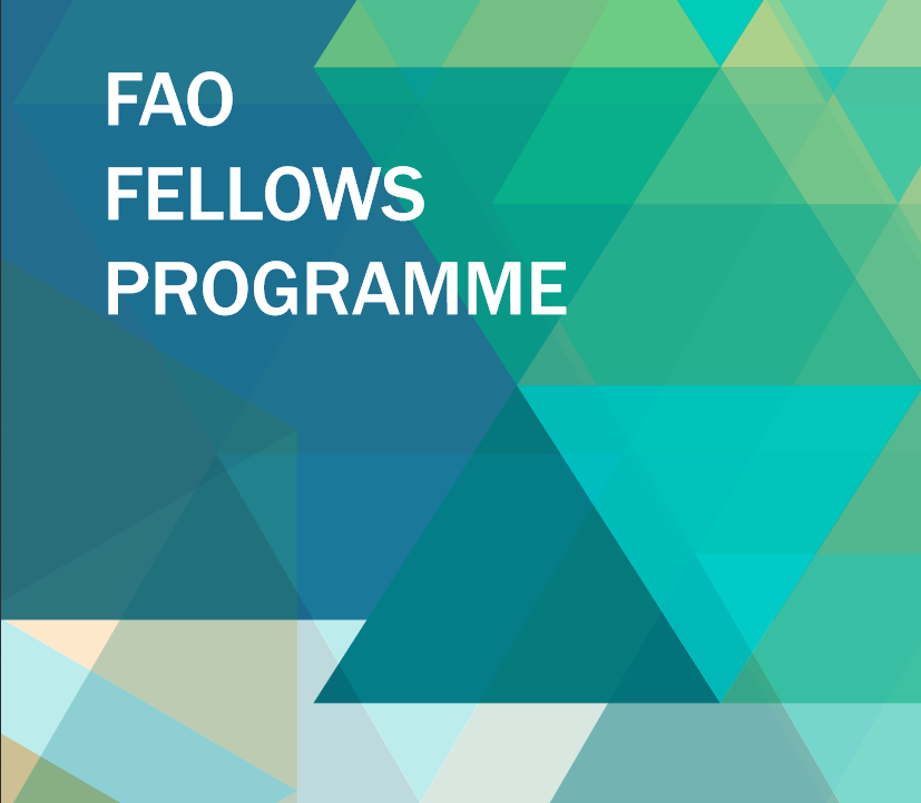 Food and Agriculture Organization of the United Nations (FAO) Fellowship Programme 2024