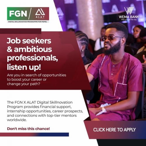 The FGN-ALAT Digital Skillnovation Program Cohort 2 for young Nigerian MSMEs