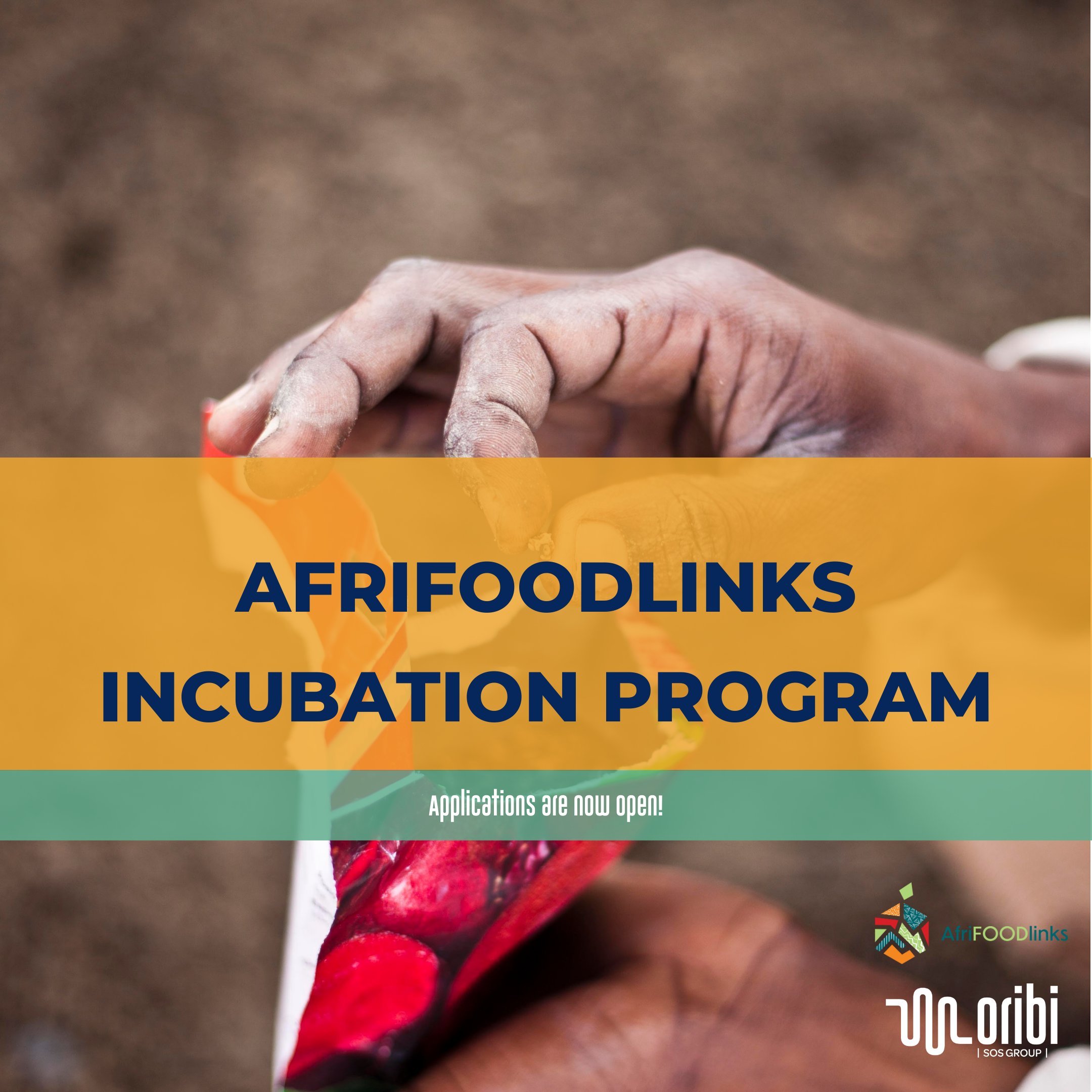 Oribi x AfriFOODlinks Incubation Program 2024 for sustainable agri-food businesses