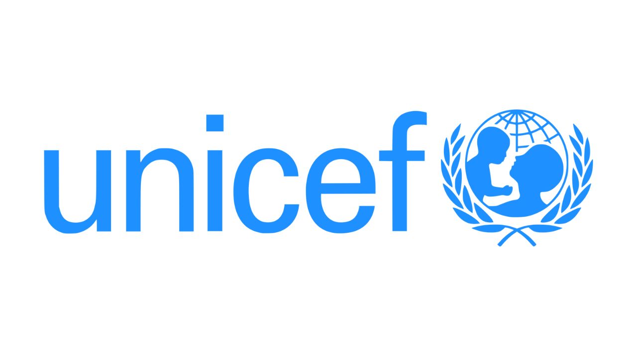 UNICEF Internship Programs 2024