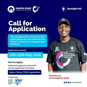 Youth Local Government Accountability Fellowship (YLGA)