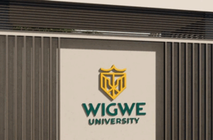Call for Applications: Wigwe University Merit Scholarships 2025 for Nigerians