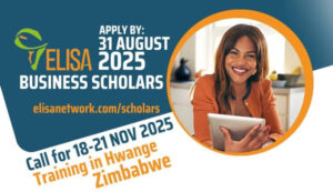 ELISA Business Scholar Program 2025